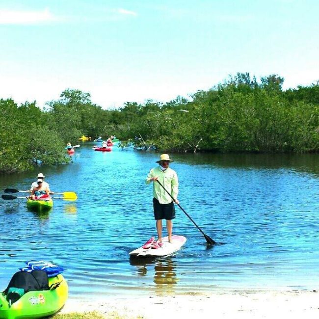 Guided Eco Tour County Launches